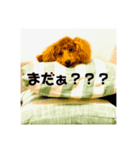 reimiiスタンプ1（個別スタンプ：4）