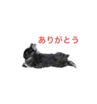 イブとネル（個別スタンプ：1）