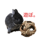 イブとネル（個別スタンプ：2）