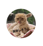 トトやんfamily STAMP2（個別スタンプ：1）