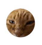 トトやんfamily STAMP2（個別スタンプ：6）