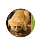 トトやんfamily STAMP2（個別スタンプ：8）