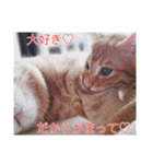 トトやんfamily STAMP2（個別スタンプ：14）