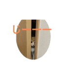 ネギーヌ（個別スタンプ：1）