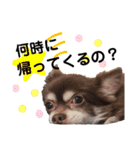 ソラさんすたんぷ2（個別スタンプ：1）