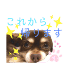 ソラさんすたんぷ2（個別スタンプ：2）
