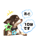 ソラさんすたんぷ2（個別スタンプ：5）