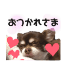ソラさんすたんぷ2（個別スタンプ：9）