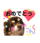 ソラさんすたんぷ2（個別スタンプ：11）