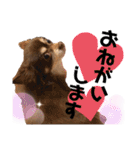 ソラさんすたんぷ2（個別スタンプ：16）