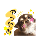 ソラさんすたんぷ2（個別スタンプ：23）