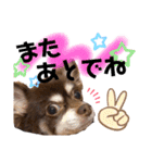 ソラさんすたんぷ2（個別スタンプ：24）