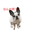 おーべーちゃん（個別スタンプ：1）