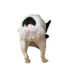 おーべーちゃん（個別スタンプ：8）