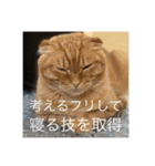 トトやん family stamp 3（個別スタンプ：1）