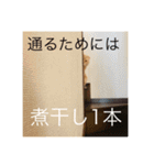 トトやん family stamp 3（個別スタンプ：6）