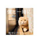 トトやん family stamp 3（個別スタンプ：7）