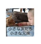 トトやん family stamp 3（個別スタンプ：13）