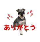 kevinの日常（個別スタンプ：1）