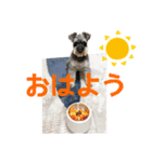 kevinの日常（個別スタンプ：2）