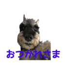 kevinの日常（個別スタンプ：5）