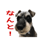 kevinの日常（個別スタンプ：6）