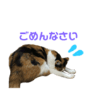 ちぃこちゃんスタンプ（個別スタンプ：2）