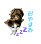 ちぃこちゃんスタンプ（個別スタンプ：4）