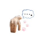うちのまろさん。（個別スタンプ：9）