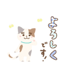 すずちゃん ときどきねこ スタンプ（個別スタンプ：20）