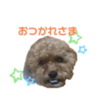 キキ 日常スタンプ2（個別スタンプ：8）