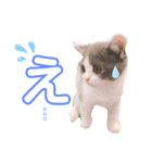 ひなこpart.2（個別スタンプ：1）