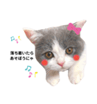 ひなこpart.2（個別スタンプ：5）