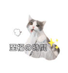 ひなこpart.2（個別スタンプ：8）