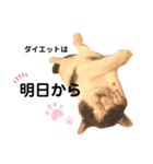 ひなこpart.2（個別スタンプ：10）