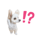 きーちゃん(ティム)（個別スタンプ：10）