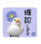 hinanonの文鳥スタンプ2（個別スタンプ：3）