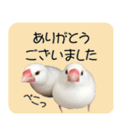 hinanonの文鳥スタンプ2（個別スタンプ：11）