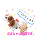 キャバリアのルークVer.1（個別スタンプ：5）