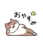 うちの4ネコ（個別スタンプ：8）