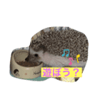marron。（個別スタンプ：7）