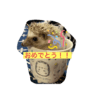 marron。（個別スタンプ：8）