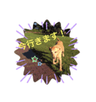 エリーちゃん（個別スタンプ：3）