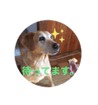 エリーちゃん（個別スタンプ：5）