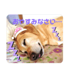 エリーちゃん（個別スタンプ：6）