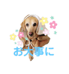 エリーちゃん（個別スタンプ：7）