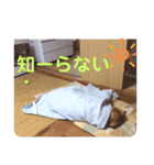エリーちゃん（個別スタンプ：8）