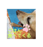 エリーちゃん（個別スタンプ：11）