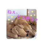 エリーちゃん（個別スタンプ：12）