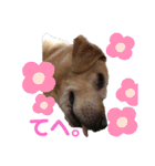 エリーちゃん（個別スタンプ：14）